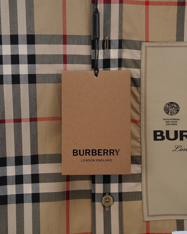 ブランドシャツ着用イメージ